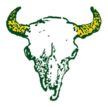Bison partner school logo