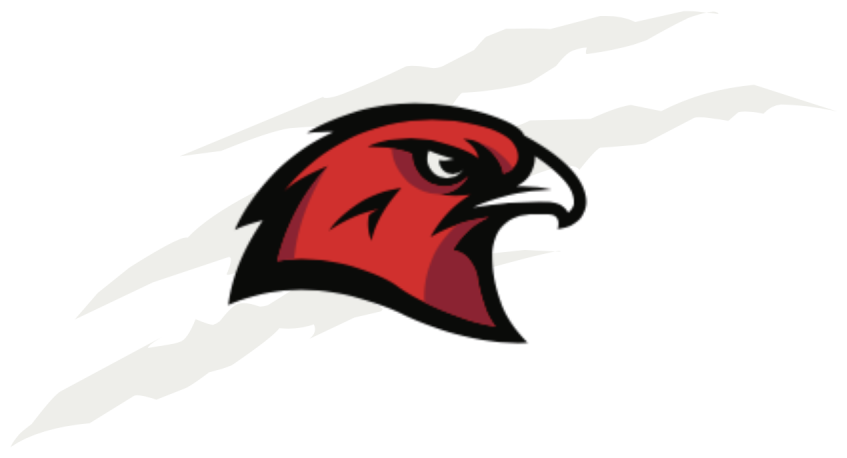 Hawk partner school logo